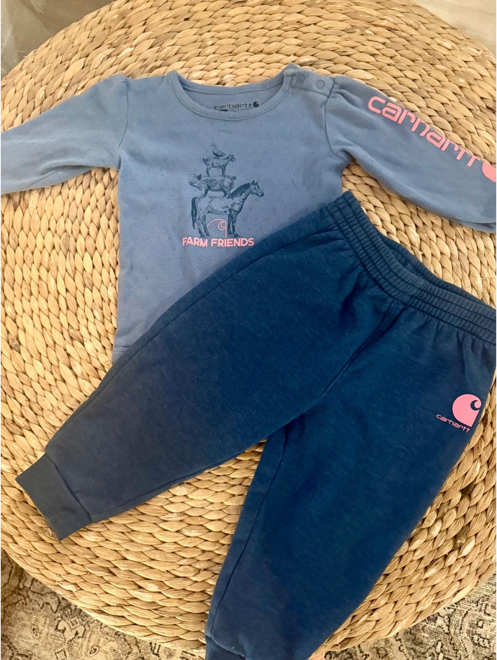 Carhartt Logo Farm Friends Outfit Sz 12 Months GUC